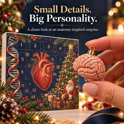 🎄 Anatomy Christmas Advent Calendar – Unique Organ-Shaped Ornaments & Holiday Surprises for Nurses, Medical Students & Science Lovers ！！！🎁