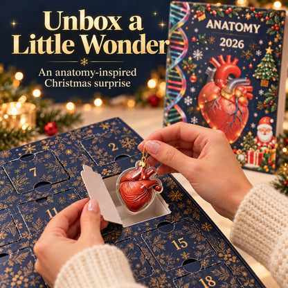 🎄 Anatomy Christmas Advent Calendar – Unique Organ-Shaped Ornaments & Holiday Surprises for Nurses, Medical Students & Science Lovers ！！！🎁
