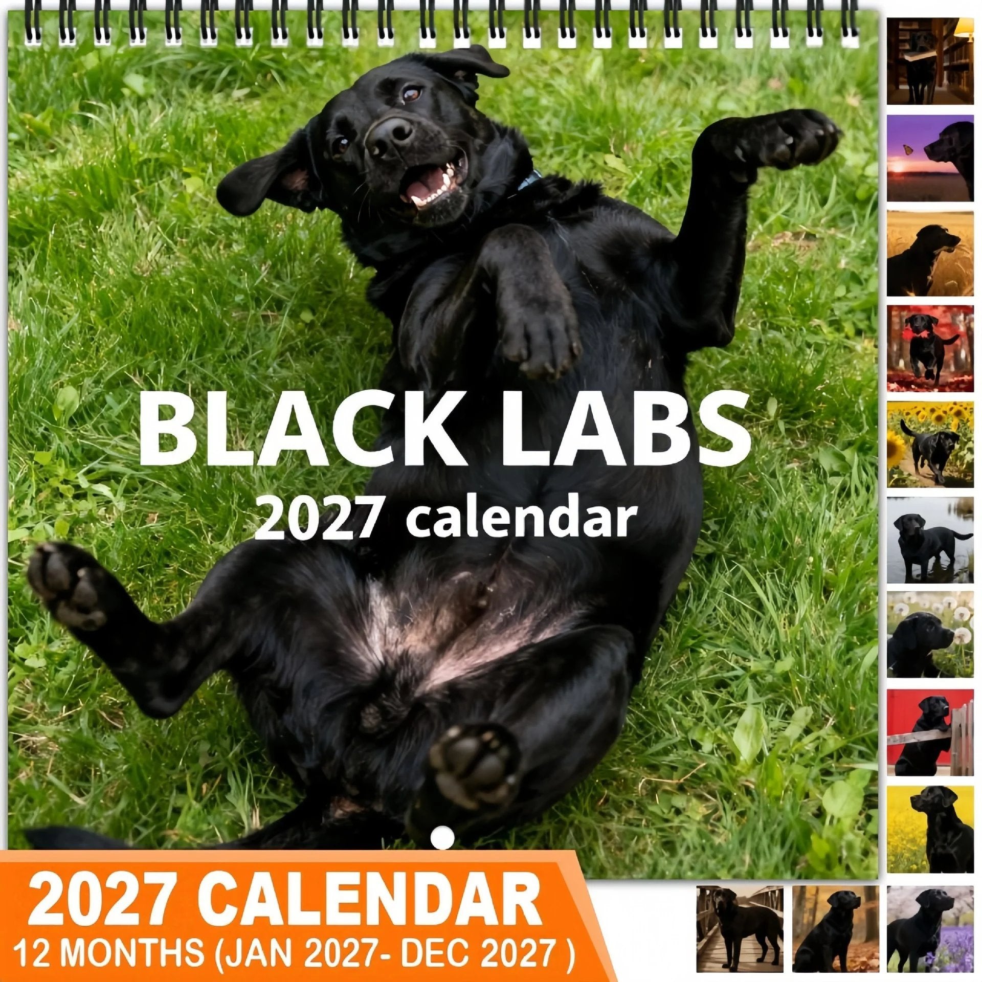 Black Labs Calendar
