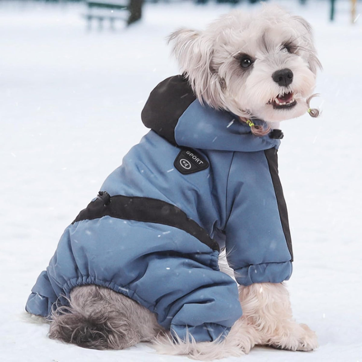 Pet Winter Warm Coat with Hood – Graphene Heated Waterproof Dog Jacket