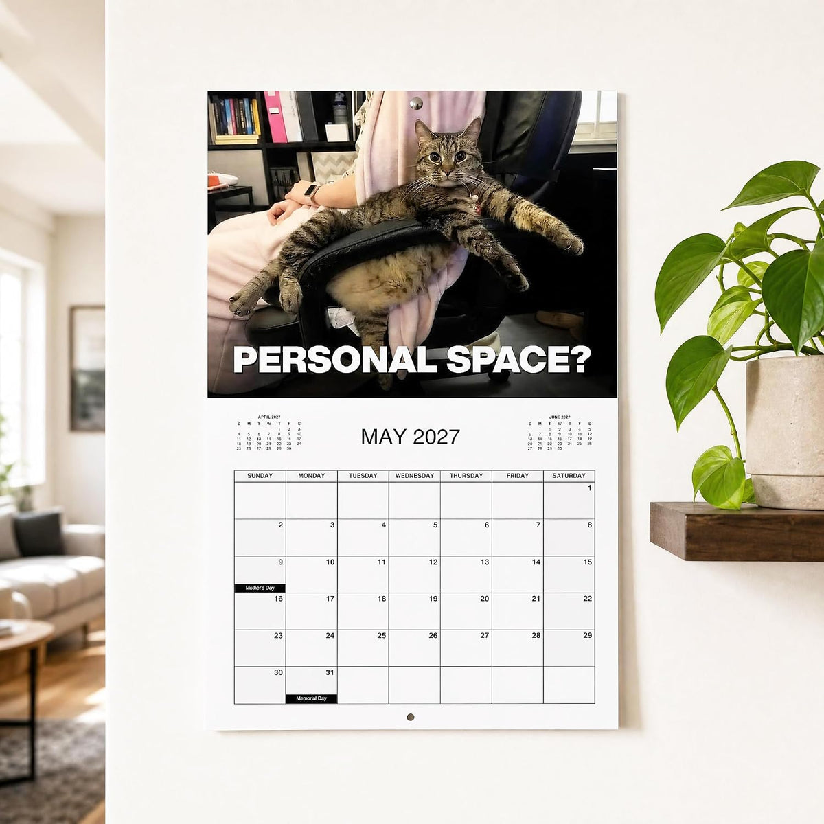 Tyiimax™ 2027 Pissed-Off Cats Calendar