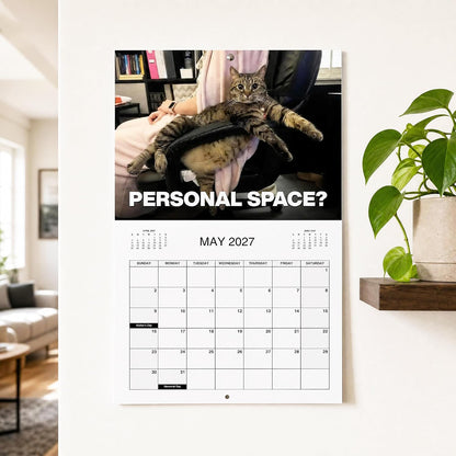 Tyiimax™ 2027 Pissed-Off Cats Calendar