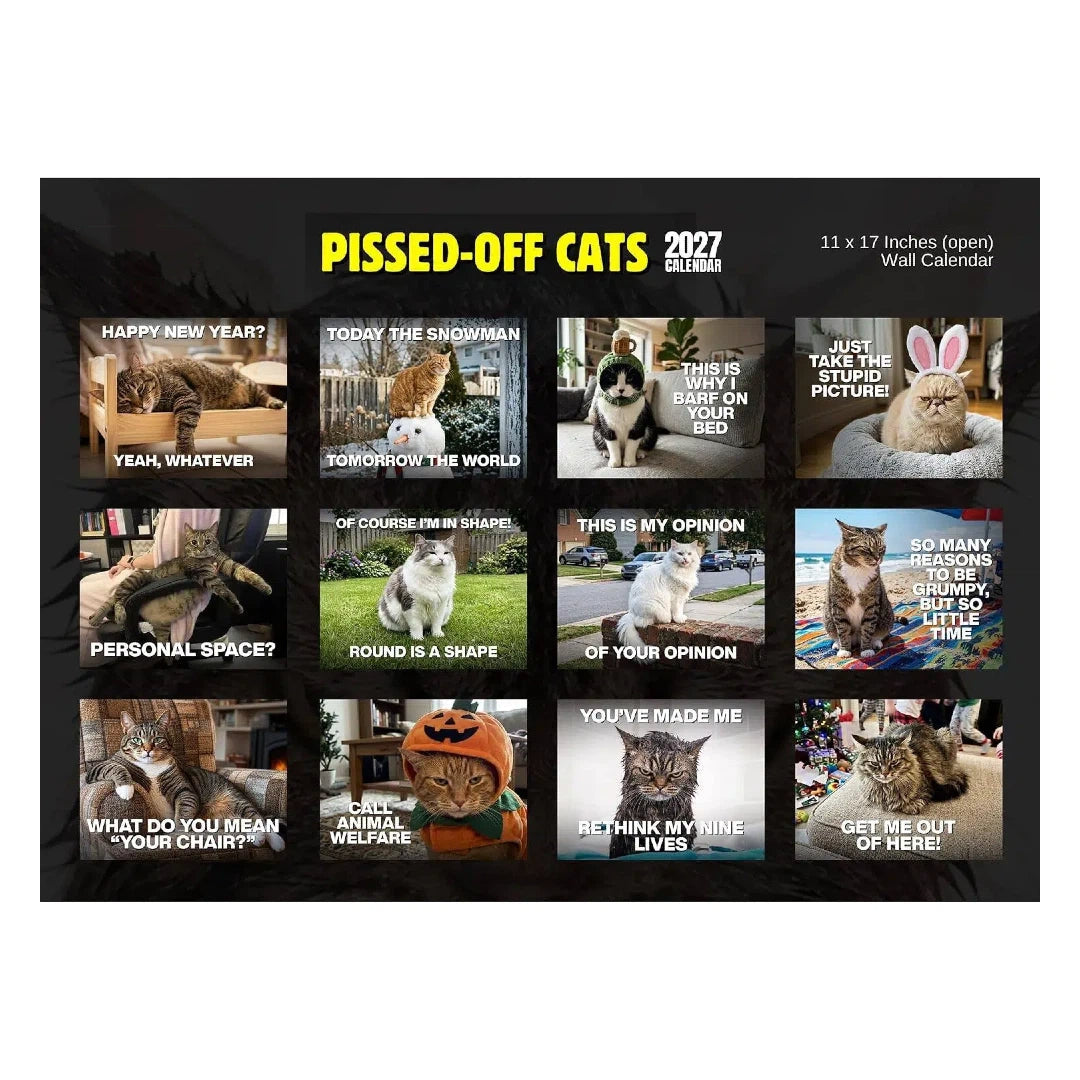 Tyiimax™ 2027 Pissed-Off Cats Calendar