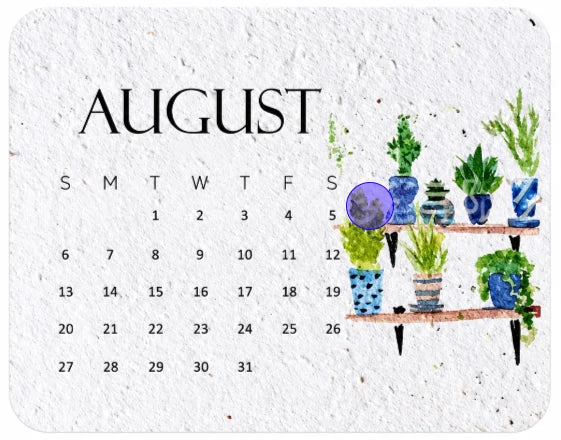 🌱The 2027 Living Botanical Desk Calendar | Zero-Waste Hand-Painted Art Edition