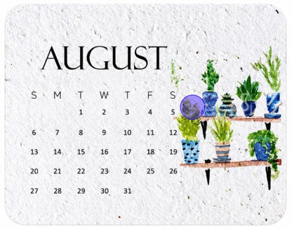 🌱The 2027 Living Botanical Desk Calendar | Zero-Waste Hand-Painted Art Edition