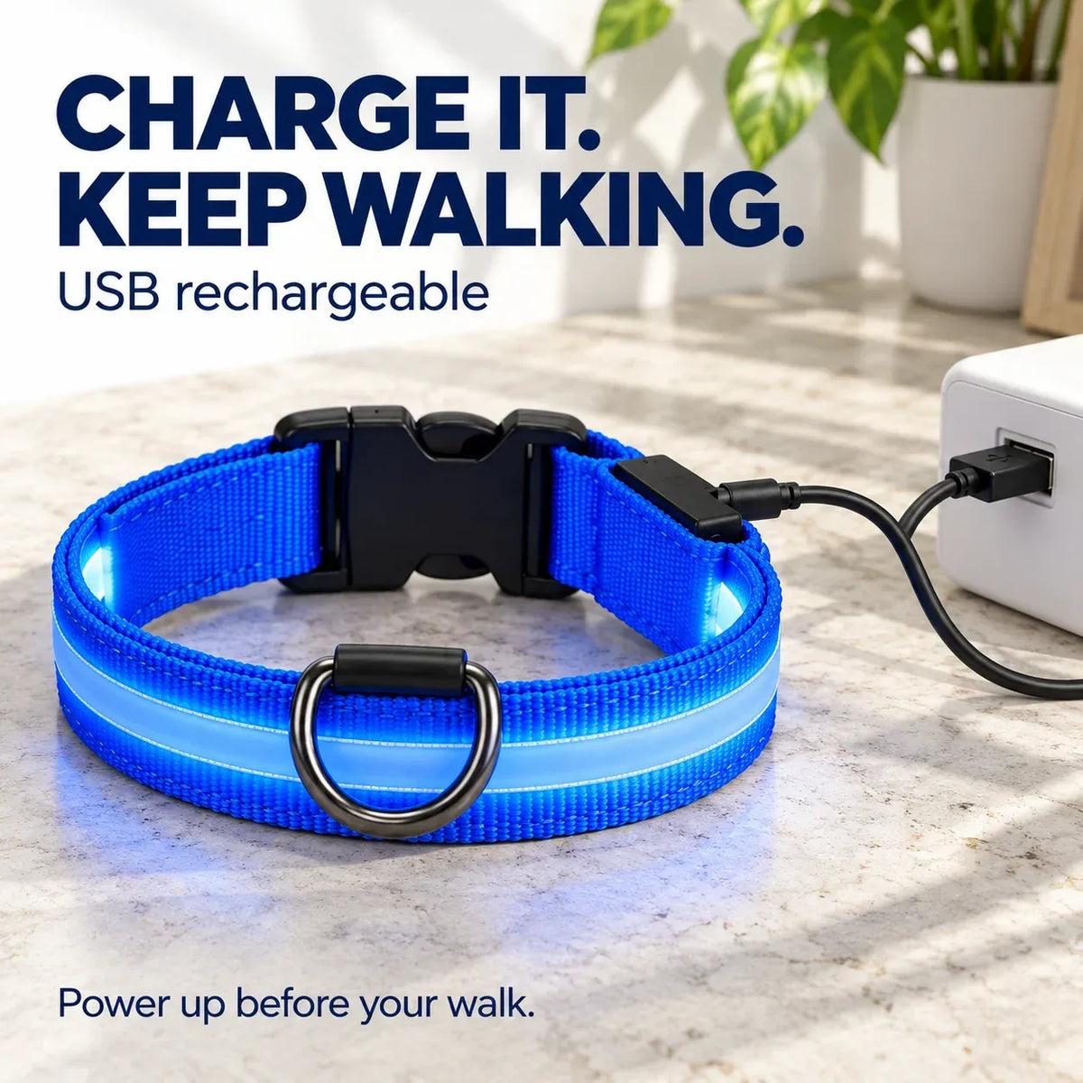 🐕 Rechargeable LED Dog Walking Kit ✨ Light-Up Harness, Collar & Leash for Safer Night Walks