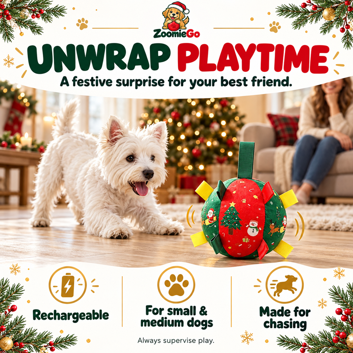 Dog Christmas Interactive Toy Soccer Ball with Bell🎄🐶🐱