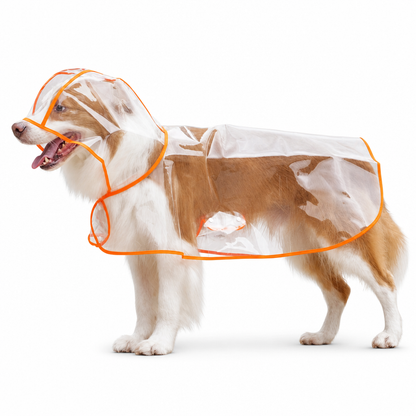 🌧️🐾 Transparent Waterproof Dog Raincoat – Clear Hood, Adjustable Fit, Multi-size 🐶