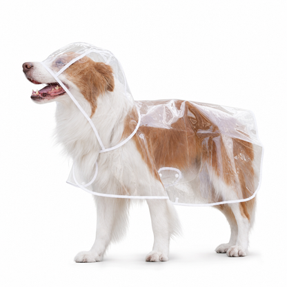 🌧️🐾 Transparent Waterproof Dog Raincoat – Clear Hood, Adjustable Fit, Multi-size 🐶