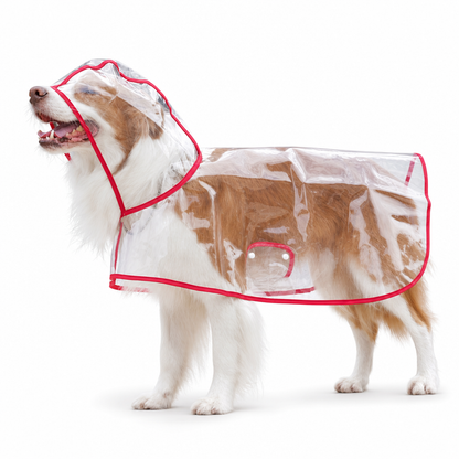 🌧️🐾 Transparent Waterproof Dog Raincoat – Clear Hood, Adjustable Fit, Multi-size 🐶