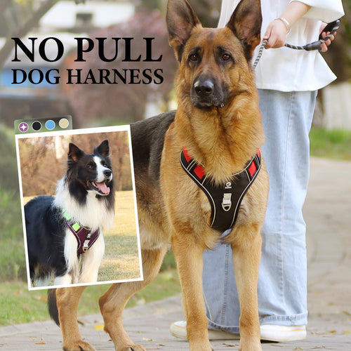 🐶🛡️No Pull Dog Harness with Leash & Collar LED – Secure & Comfortable ✨
