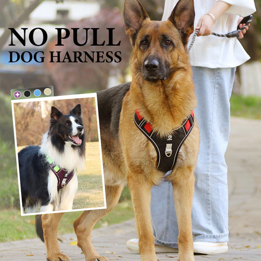 🐶🛡️No Pull Dog Harness with Leash & Collar LED – Secure & Comfortable ✨