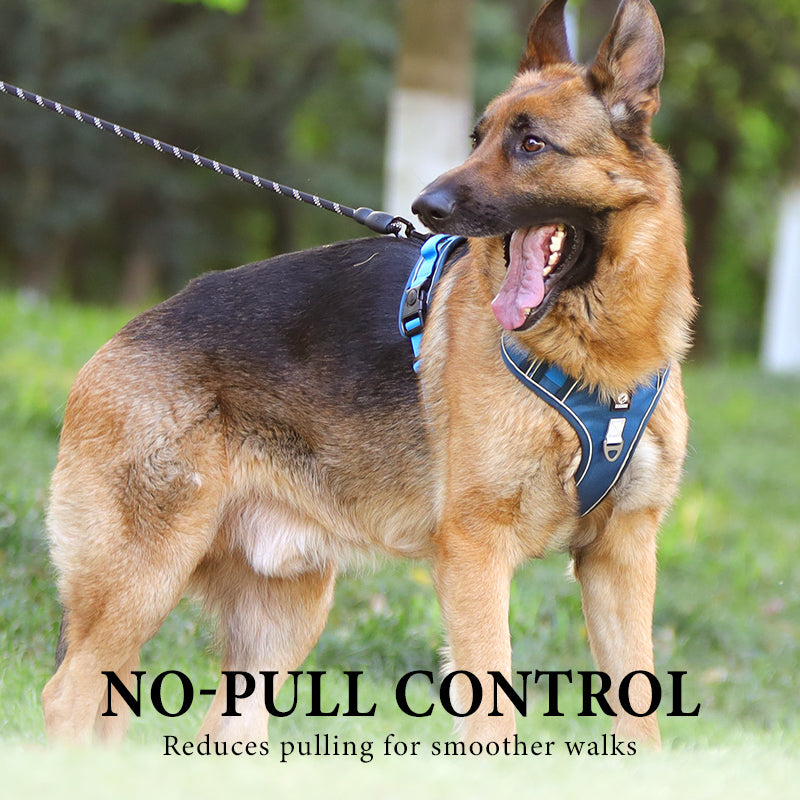 🐶🛡️No Pull Dog Harness with Leash & Collar LED – Secure & Comfortable ✨