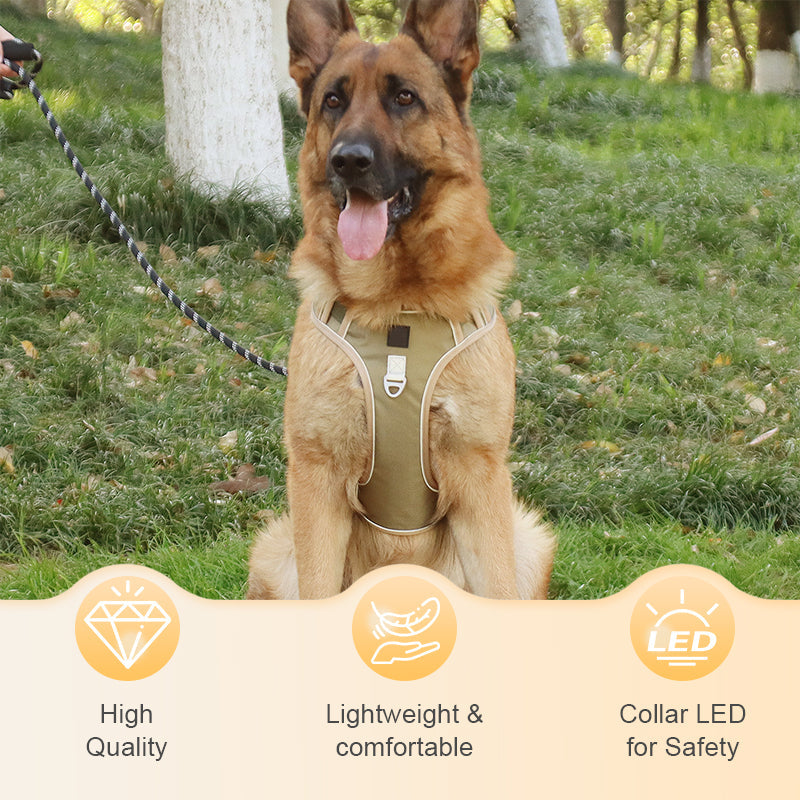 🐶🛡️No Pull Dog Harness with Leash & Collar LED – Secure & Comfortable ✨