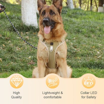 🐶🛡️No Pull Dog Harness with Leash & Collar LED – Secure & Comfortable ✨