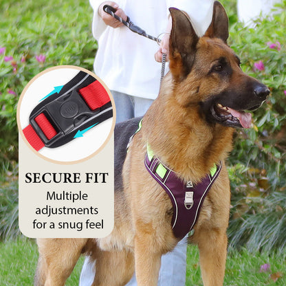 🐶🛡️No Pull Dog Harness with Leash & Collar LED – Secure & Comfortable ✨