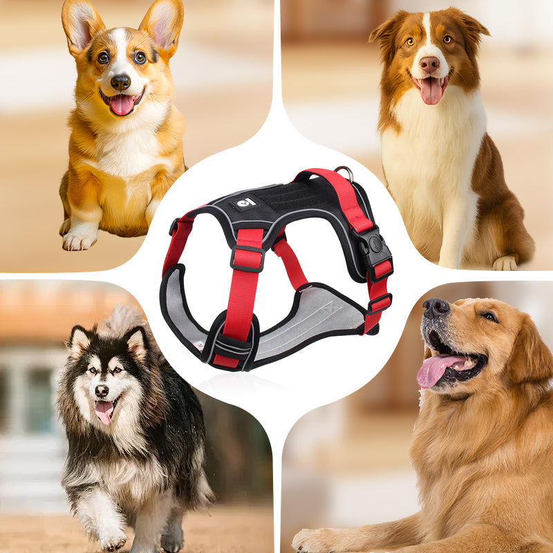 🐶🛡️No Pull Dog Harness with Leash & Collar LED – Secure & Comfortable ✨